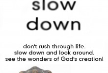 Slow Down Poster